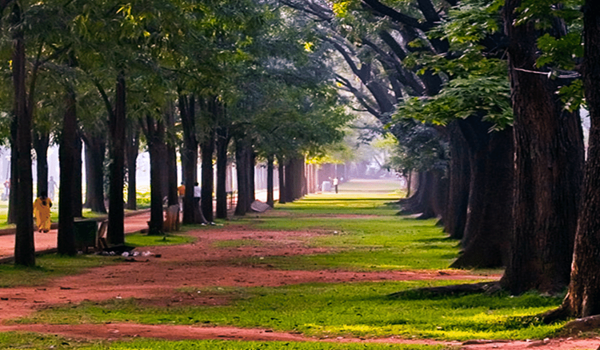 Cubbon Park